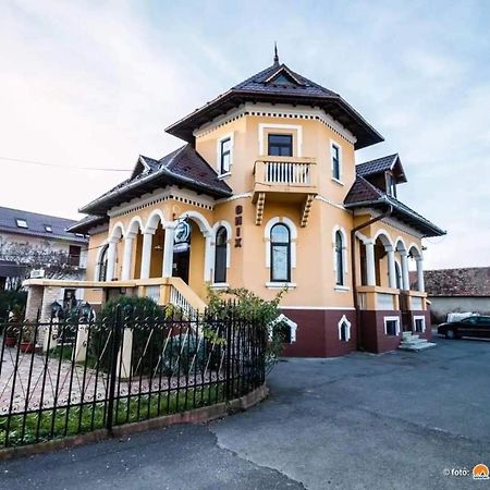 Făgăraş Pensiunea Onix מראה חיצוני תמונה