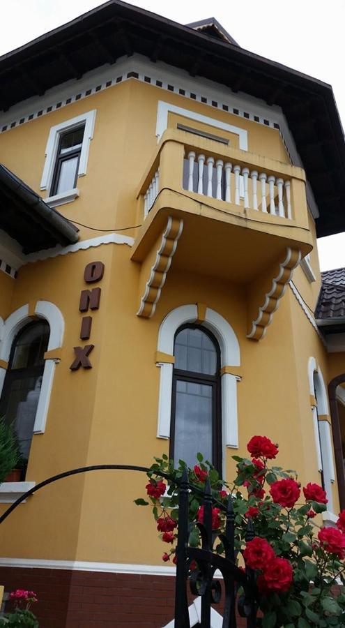 Făgăraş Pensiunea Onix מראה חיצוני תמונה