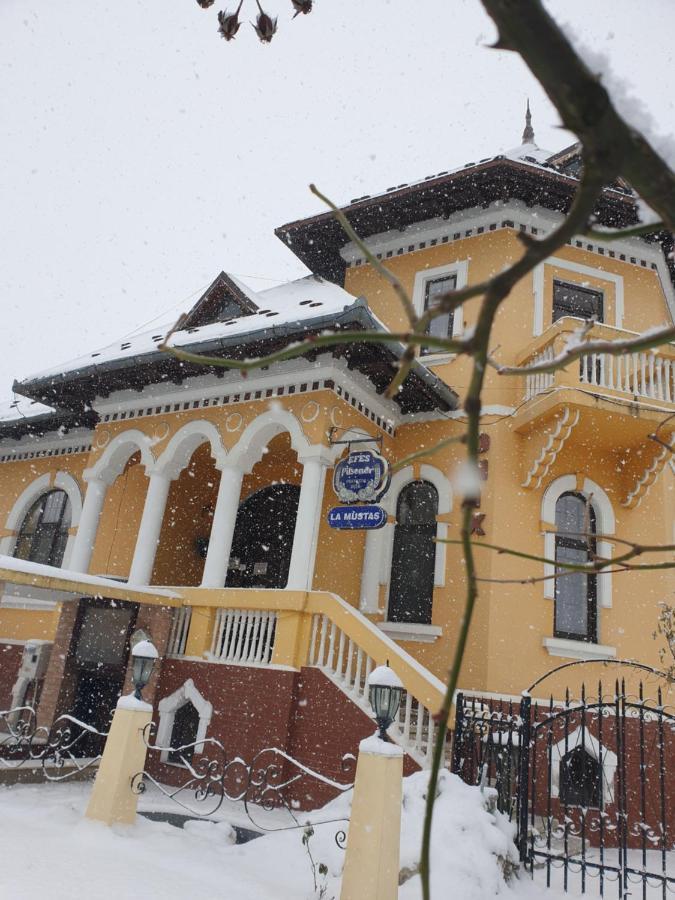 Făgăraş Pensiunea Onix מראה חיצוני תמונה