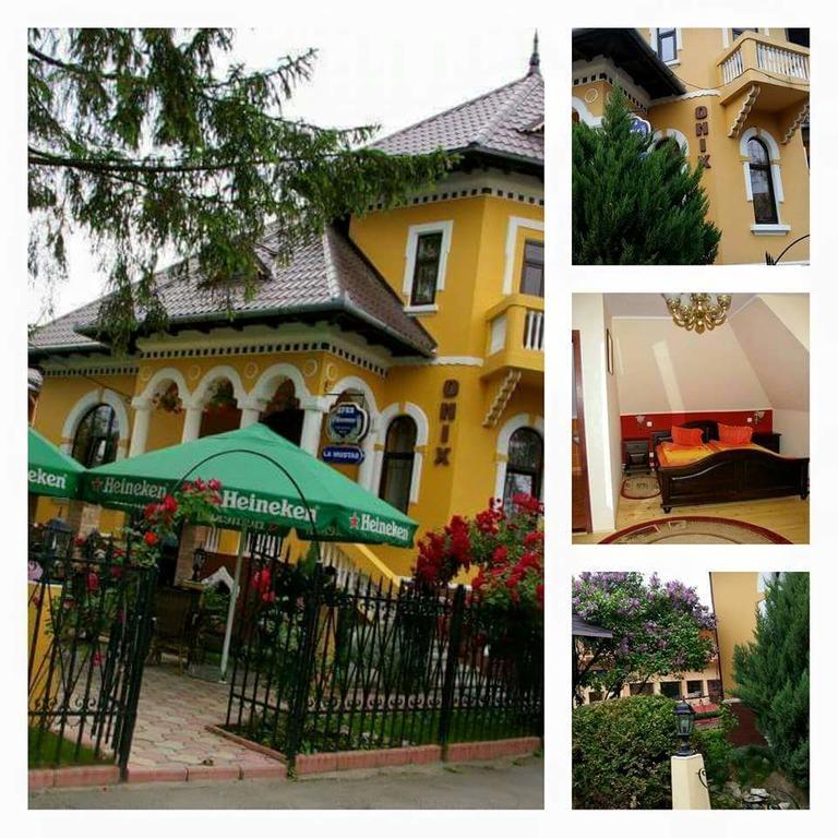 Făgăraş Pensiunea Onix מראה חיצוני תמונה