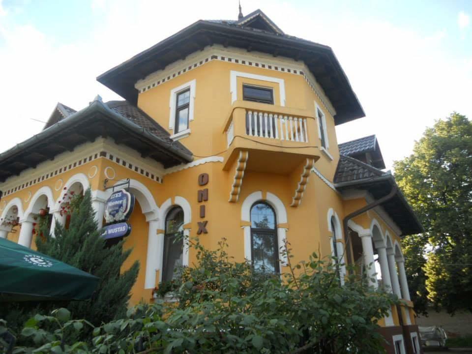 Făgăraş Pensiunea Onix מראה חיצוני תמונה