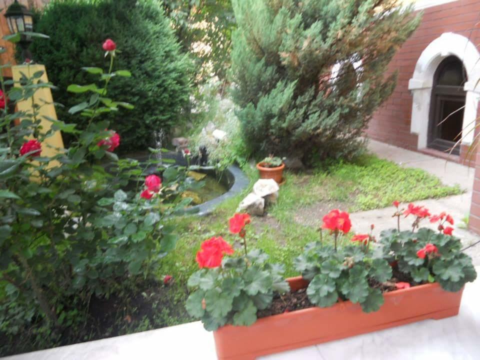 Făgăraş Pensiunea Onix מראה חיצוני תמונה