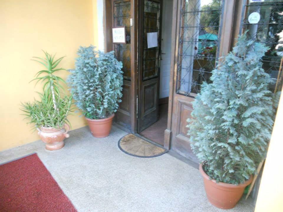 Făgăraş Pensiunea Onix מראה חיצוני תמונה