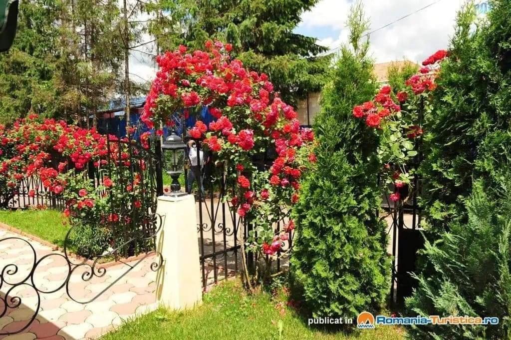 Făgăraş Pensiunea Onix מראה חיצוני תמונה