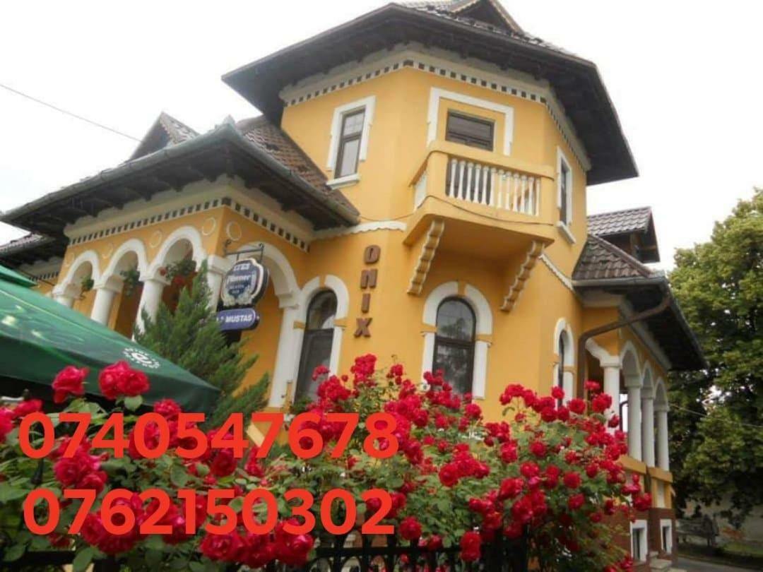 Făgăraş Pensiunea Onix מראה חיצוני תמונה